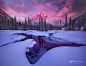 Photograph Mount Kidd Reflecting Pools Winter Horizontal by Chip Phillips on 500px