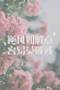 彼岸花-明河采集到温暖小清新