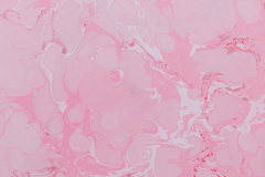 杨明2019采集到Colour——P I N K | 粉色 ◇