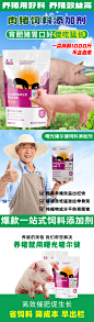 雷珍琳7