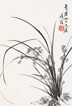 用户t0GCXivn采集到花鸟