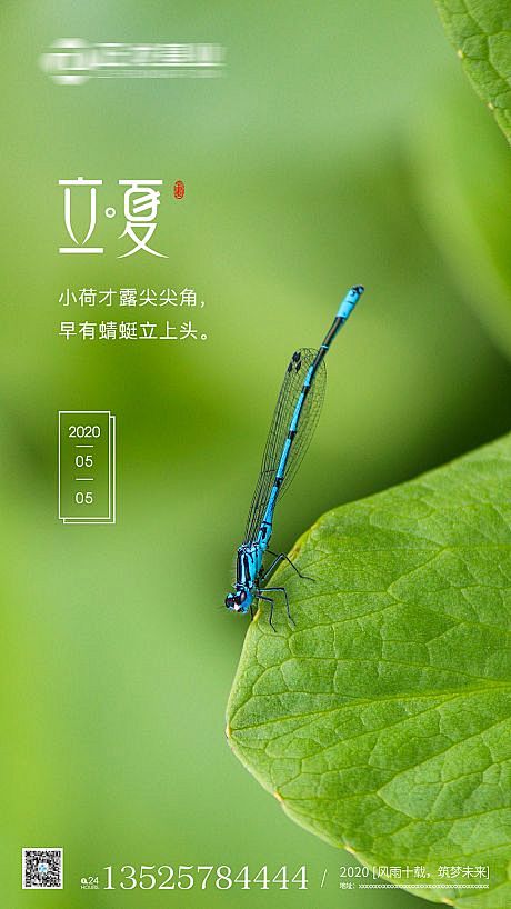 【源文件下载】 海报 房地产 二十四节气...