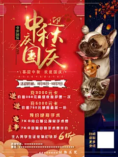 宠物店海报宣传招聘设计单页素材