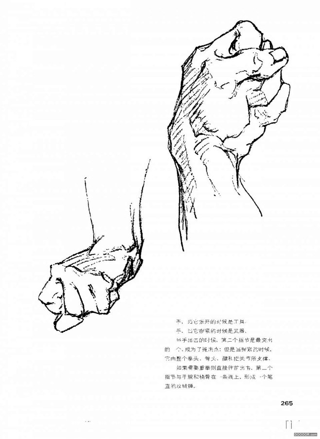 伯里曼人体结构绘画 (269).jpg