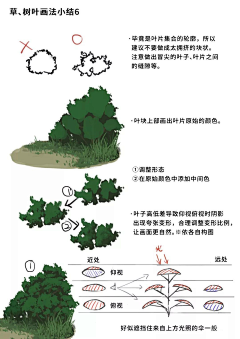 苏狸子采集到草木