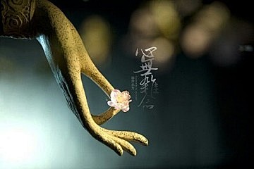 嘀咕 — 收集详情