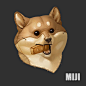 Material studies, miji lee : Shiba dog