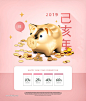 2019可爱小猪锦盒电商促销活动海报