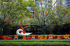 活动锋尚采集到交付