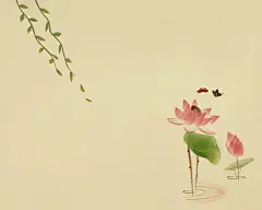 好看的莲花桌面壁纸