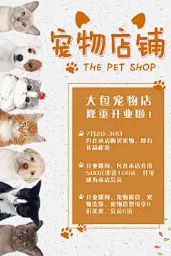 宠物店海报宣传招聘设计单页传单