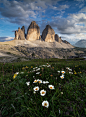 Tre Cime di Lavaredo : Cima Piccola (2857), Cima Grande (2999), Cima Ovest (2973) | Sunset | Alps | Dolomites | Italy