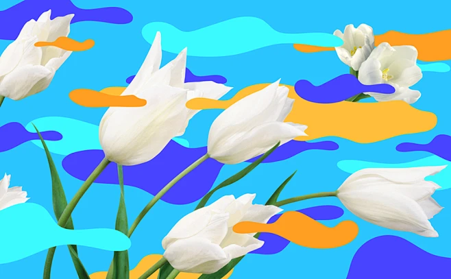 Floral : Floral patterns图片_素材图片素材-花瓣网
