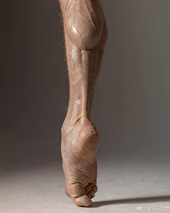 东南西北的西西采集到人体动态参考 手脚及一些肌肉
