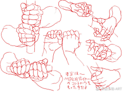 cvr_scg采集到人体部位参考