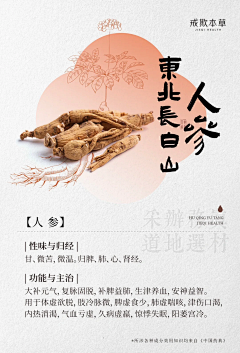 张张啊12138采集到中药药材