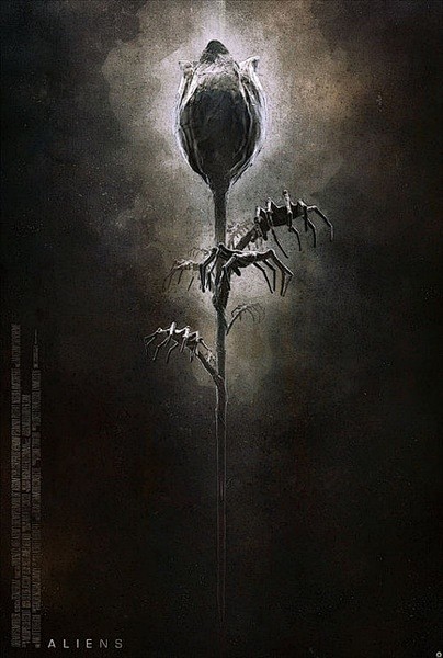 HaGaU的相册-Tomasz Opas...