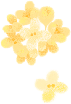 吃货·大芒果采集到【素材】-PNG-植物/花草