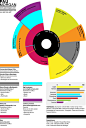 Pau Morgan Infographic resume