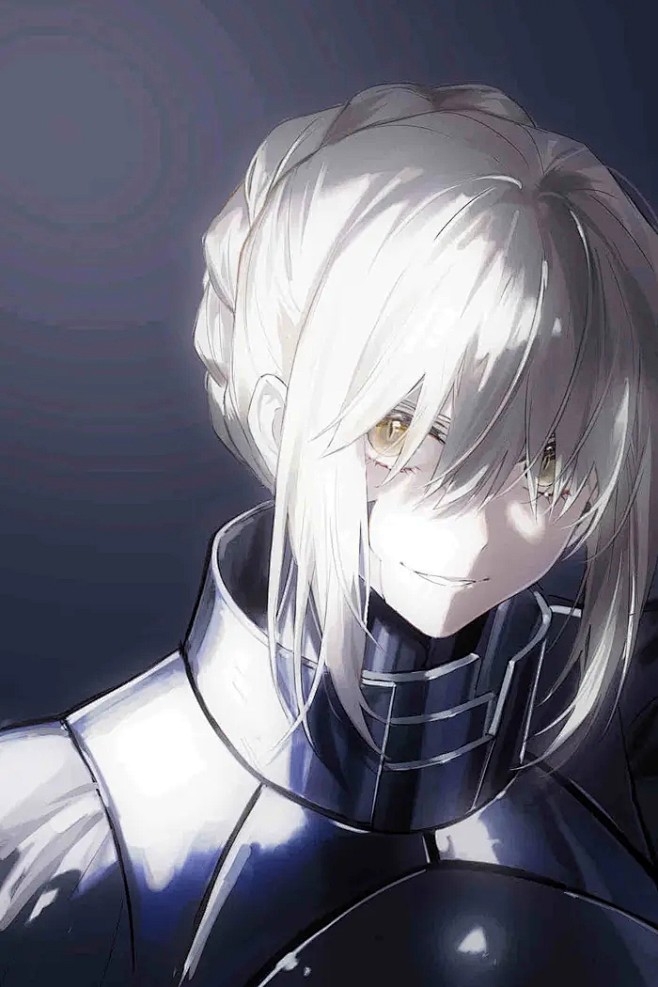 fate fgo 黑吾王 saber 阿...