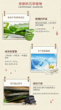 电商详情页成分功效