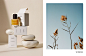 Marketplace : LOOKBOOKS.com is the Technology behind the Talent. Discover, follow, share. 