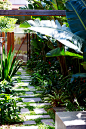 All Seasons, Clovelly - Secret Gardens Landscape