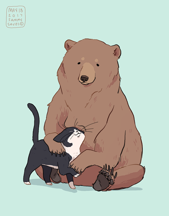 (15) Tumblr