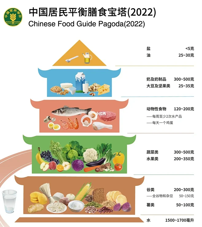 中国居民平衡膳食宝塔（2022）解读