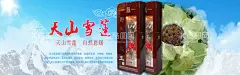 天山雪莲  - 源文件下载【酷图网】天山雪莲,雪莲,雪莲花,新疆雪莲,新疆天山雪莲,野生雪莲,干雪莲,雪莲包装,天山雪莲花,天山雪莲包装,雪莲宣传单,天山雪莲海报,雪莲广告,雪莲海报,雪莲DM单,天山雪莲广告,雪莲展板,天山雪莲展板,雪莲促销,雪莲宣传,天山雪莲宣传,高原雪莲,西藏雪莲,天山雪莲简介,天山雪莲功效,雪莲简介,