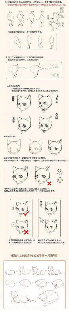 极地天际采集到  造型基础