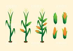 矢量玉米  - 源文件下载【酷图网】玉米,矢量玉米,卡通玉米,黄玉米,糯玉米,水果玉米,甜玉米,玉米棒,有机玉米,玉米元素,手绘玉米,手机壳图案,手机壁纸,手绘插画,玉米手绘,广告,玉米包装,苞米,玉米粒,新鲜玉米,糯米玉米,苞谷,玉米素材