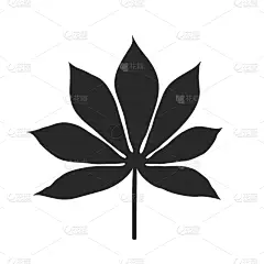 木薯,叶子,黑色,白色背景,农业,蔬菜,清新,食品,维生素,剪影