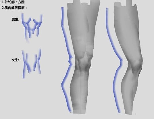 男女膝盖的区分、画法 : 一、起形 注意...