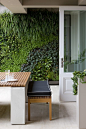 Vertical garden: 