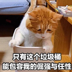 Cervidae是鹿啊采集到摸一嗷喵