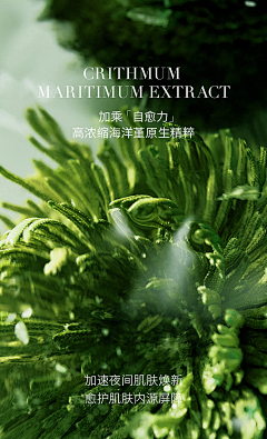夏简若120采集到冰淇淋详情参考