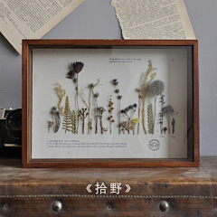 Neeat采集到植物记录