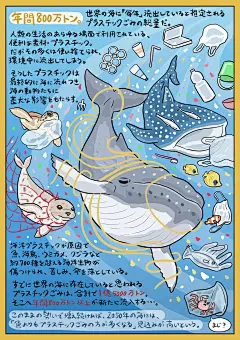 这可能包含：带有鲸鱼和其他动物图像的海报