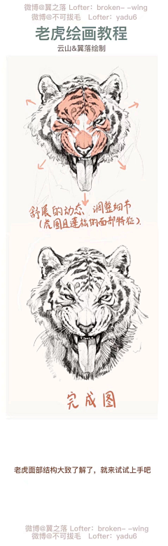 阿sir13采集到杂