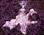 Wonderland: A Fantastical Voyage of Remembrance Through Portrait Photography by Kirsty Mitchell portaits conceptual  #气质#