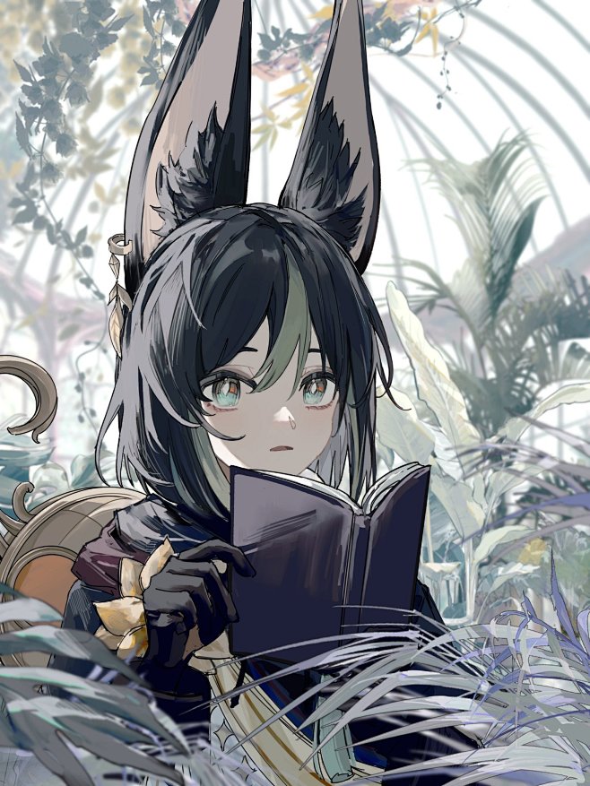 提纳里 Tighnari