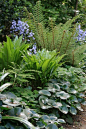[EXTERNAL]  Hosta gardens, Woodland garden, and more Pins popular on Pinterest - Outlook Web App, light version