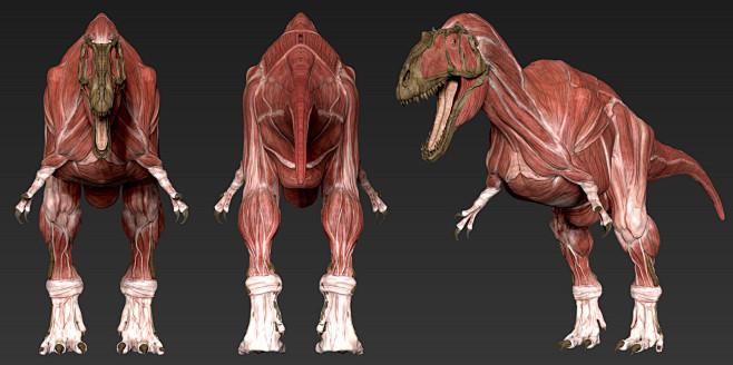 Acrocanthosaurus ana...