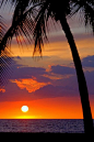 Hawaiian Colorful Sunset with Palm