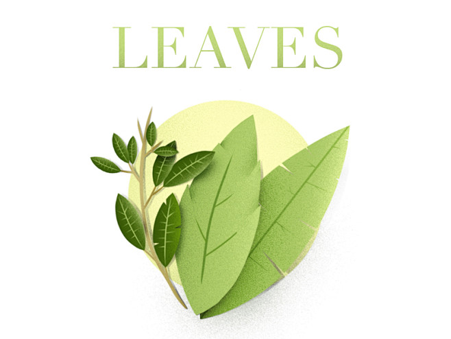 Leaves