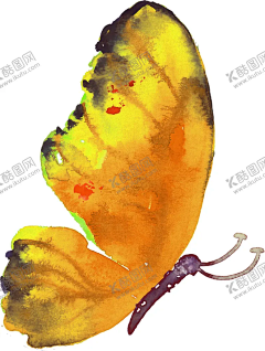 蝴蝶 【酷图网】蝴蝶,蝴蝶图腾,绚丽蝴蝶,蝴蝶手绘,蝴蝶插画,抽象蝴蝶,创意蝴蝶,蝴蝶名片,蝴蝶手提袋,创意海报,高档蝴蝶,彩色蝴蝶,金蝶,彩蝶,蜕变,蝶变,动物图腾,动物手绘