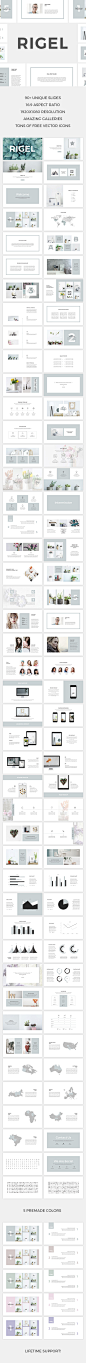 Rigel Keynote Template - Keynote Templates Presentation Templates
性冷淡风PPT