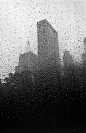 NYC. Quintessential shapes through the rain: 