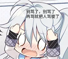 别骂了，别骂了再骂就把人骂傻了 - 二次元表情 _斗图表情包